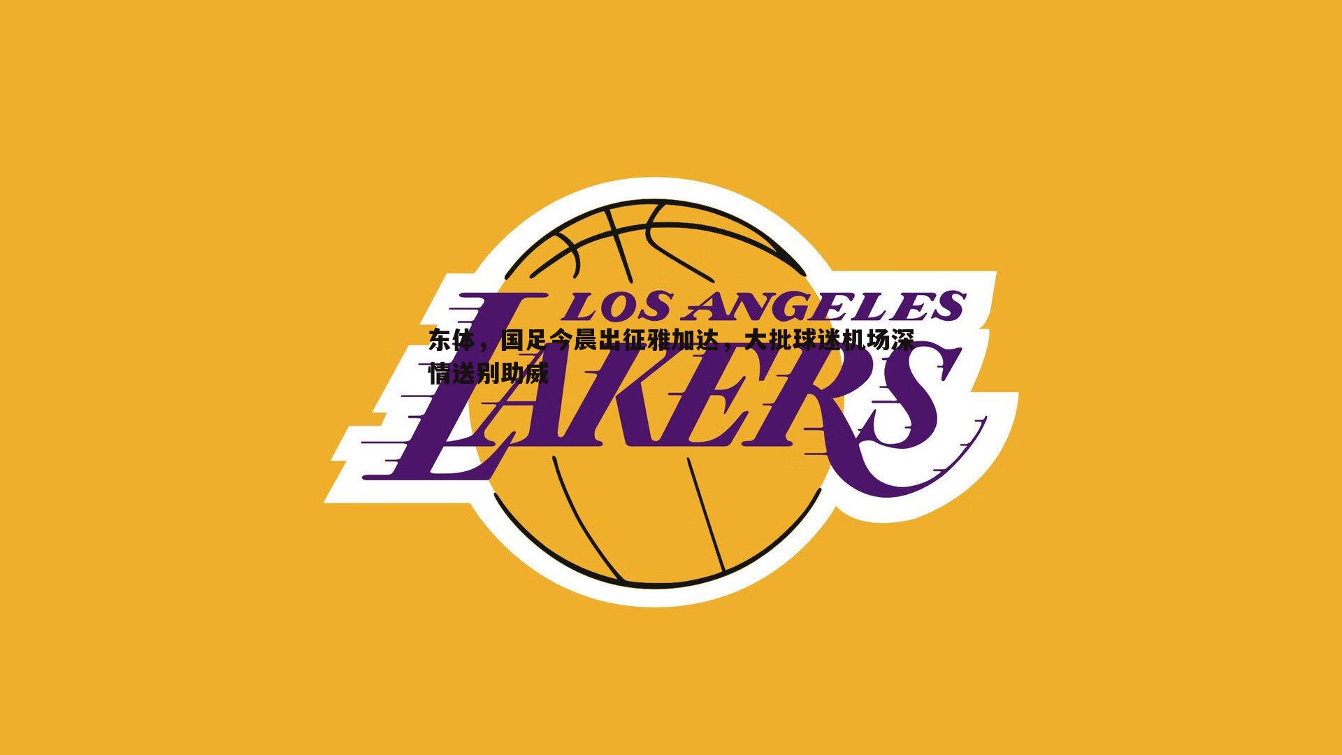 东体,国足今晨出征雅加达,大批球迷机场深情送别助威